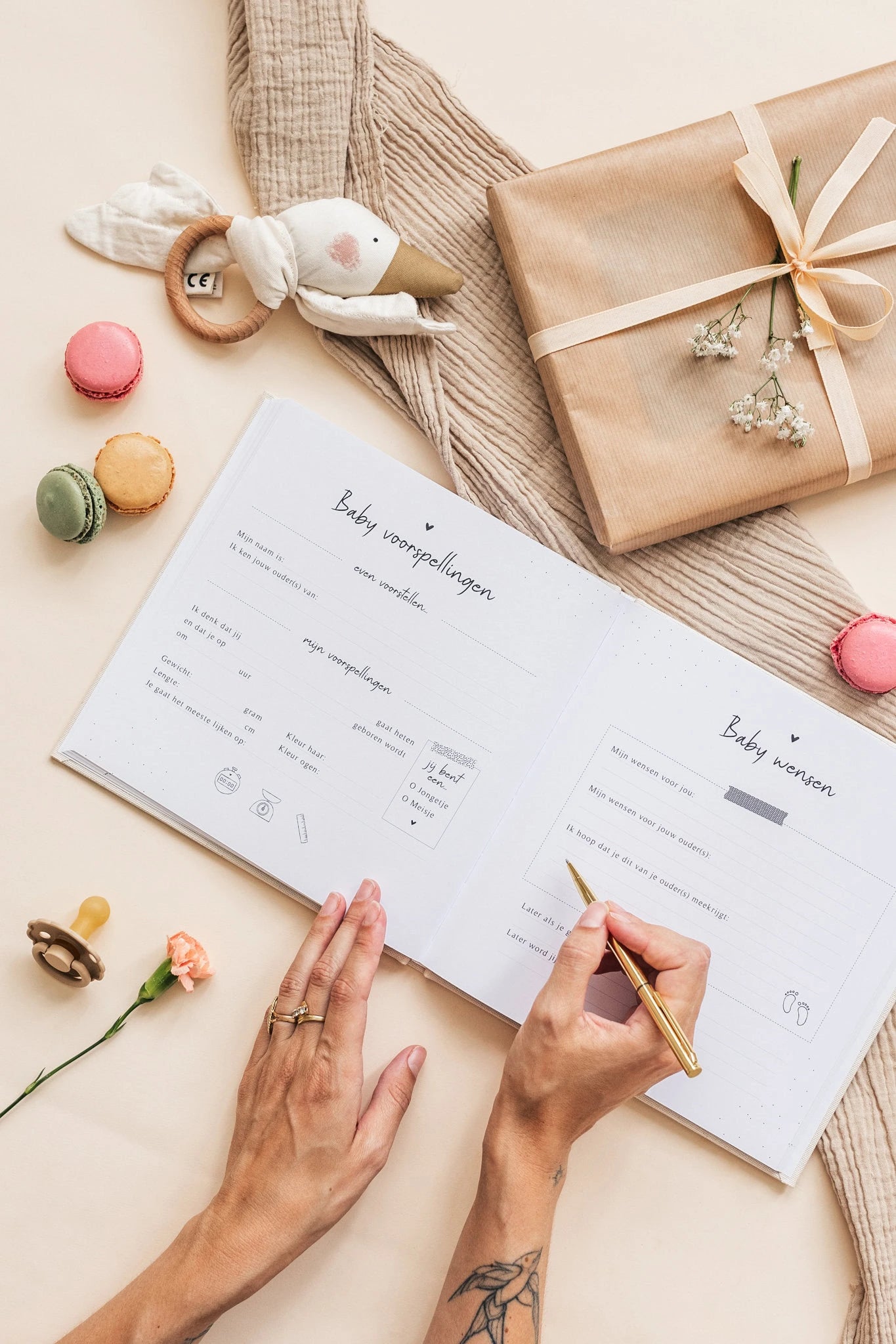 Mijn babyshower boek – Teddy