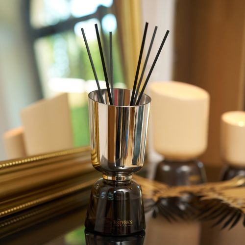 Esteban – Vanille d’Or Iconic Color Geurstokjes 250 ml