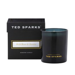 Ted Sparks TED-D-C04 1.2