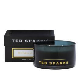Ted Sparks TED-M-C04 1.2